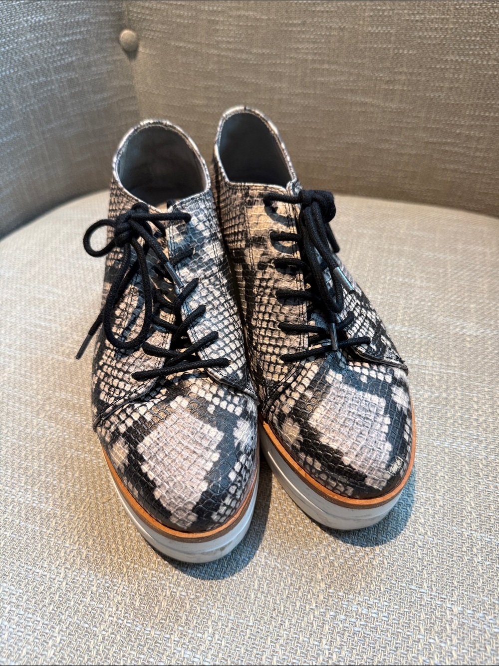 Womens Black & Gray Snake-Print Lace-Up Shoes